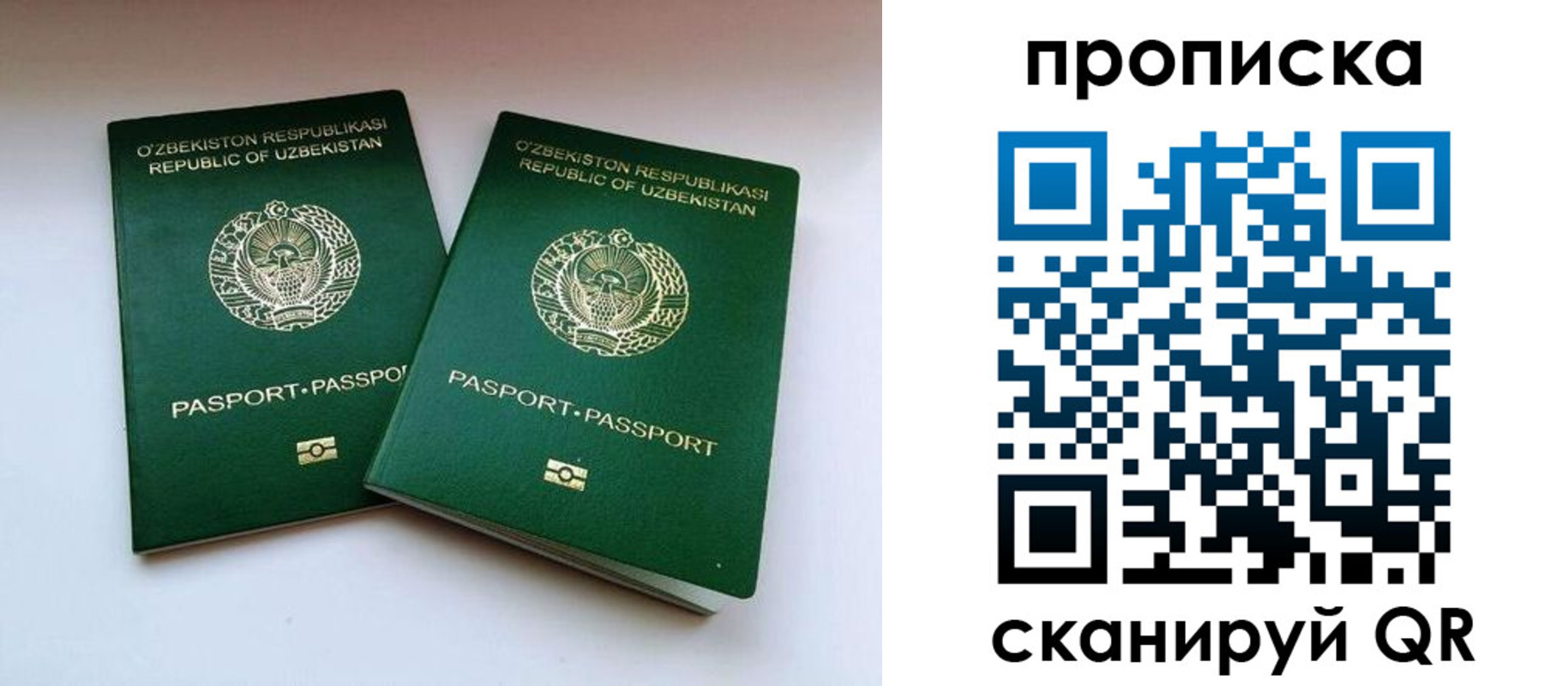 прописка поиск в Воронеже